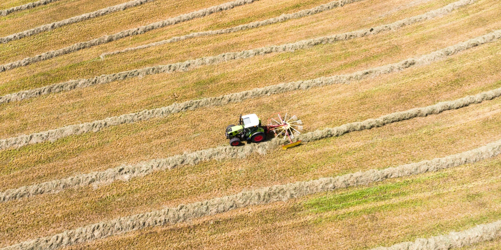 Diplomatie et Langues : Compétences Multilingues en Action