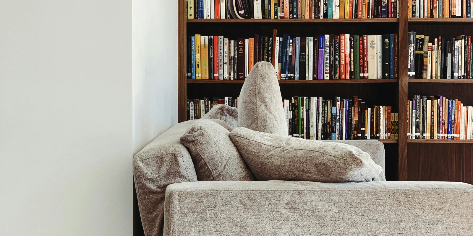 La Licence LEA : Débouchés et Perspectives La Licence LEA : Débouchés et Perspectives