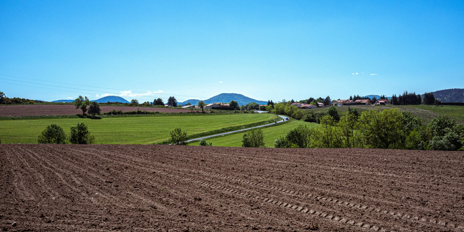 Langues et Affaires : Stratégies de Communication Multilingue