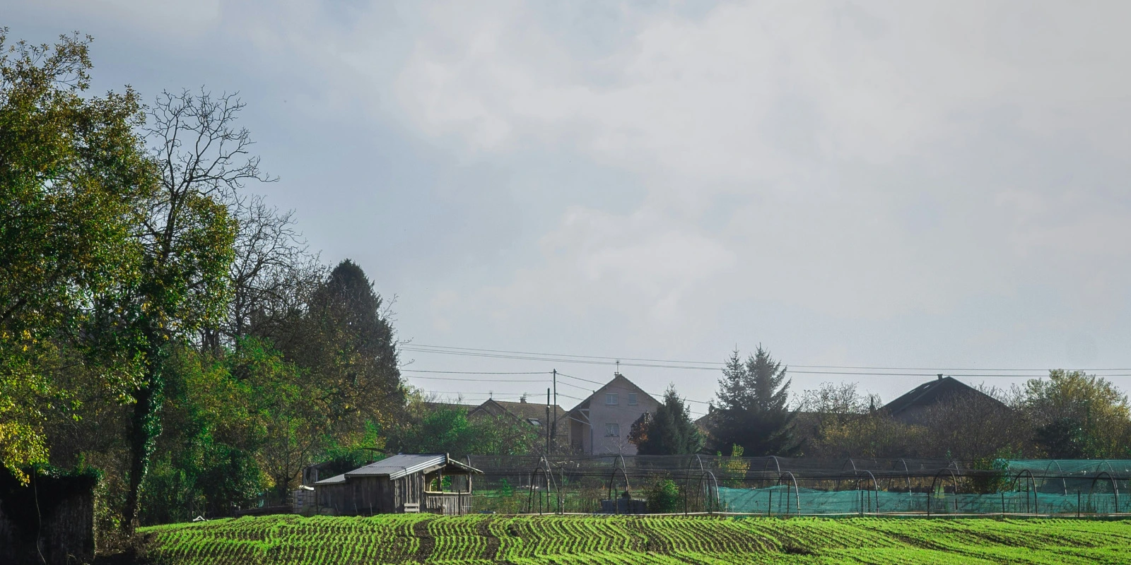 Les Cours d'Anglais en Licence LEA : Ce Qu'il Faut Savoir