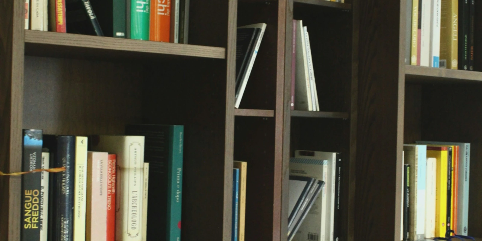 Les Débouchés des Langues Étrangères Appliquées