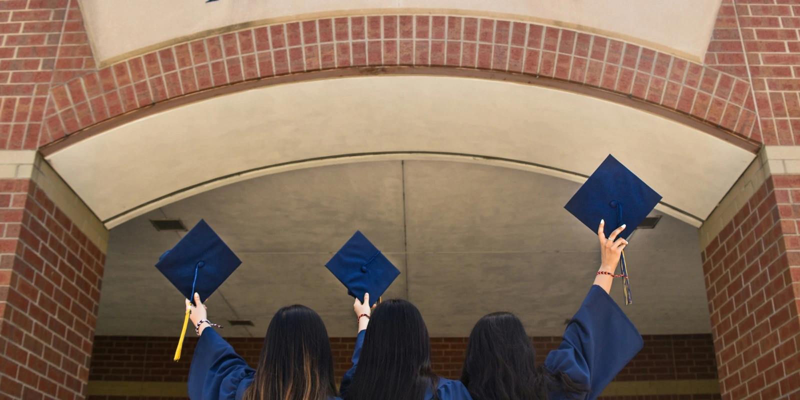 Les Options de Cours en Licence LEA