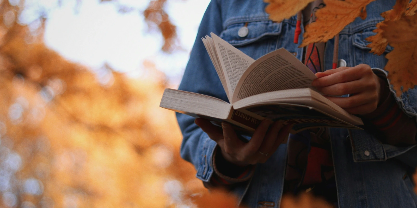 Les Parcours Spécialisés après une Licence LEA