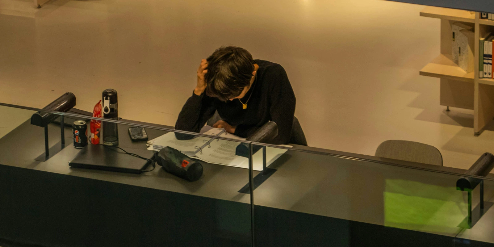 Les Programmes d'Étude des Langues en Licence LEA