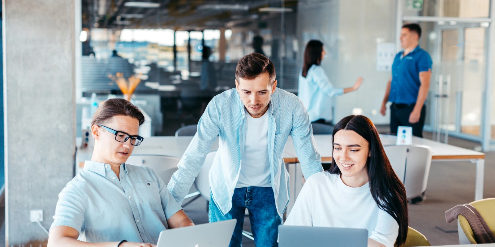 Les Programmes d'Études en Licence LEA