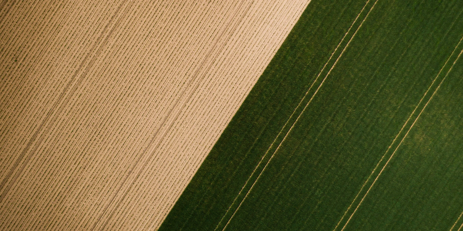 Les Universités Offrant des Licences LEA en France