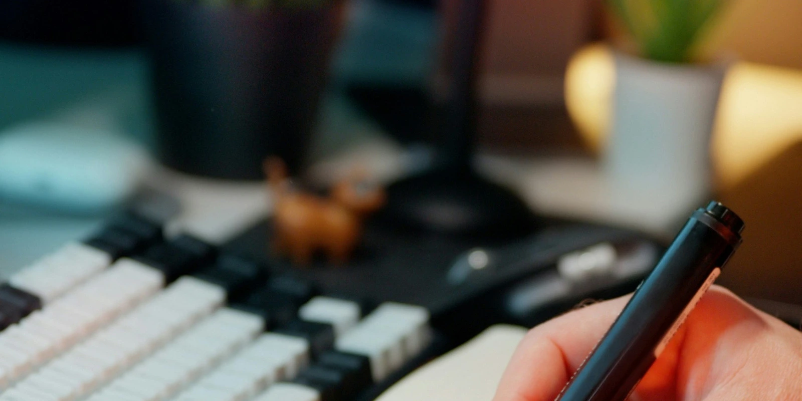 Management Interculturel : Compétences Acquises en Licence LEA