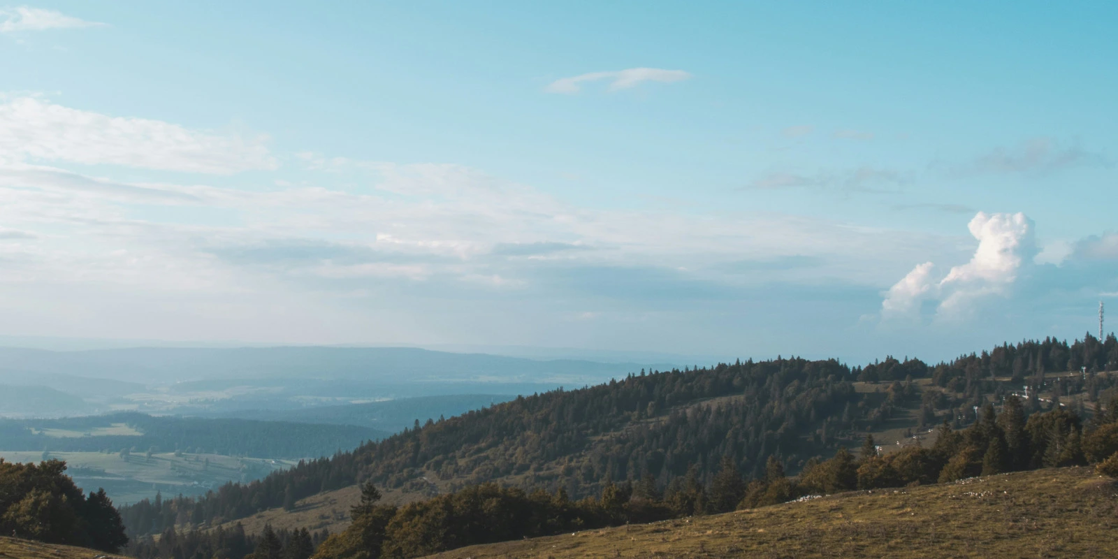 Que Faire Après une Licence LEA
